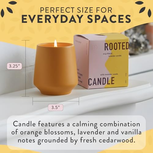 Modern Sprout - 2 in 1 Cedarwood Scented & Soy Candle with Seeds that Grows into Lavender Plant - 6 oz w/ 42 hr Burn time ...