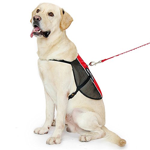 PLUTUS PET Service Dog Vest with 2 Removable Patches, Light Weight and Breathable Mesh Service Animal Harness,Perfect for ...