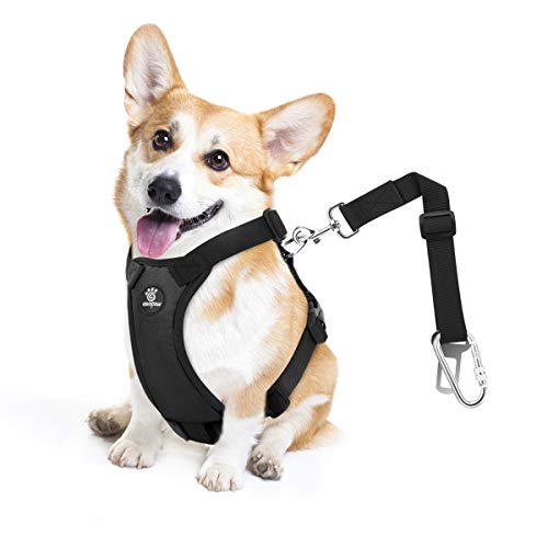 VavoPaw Dog Seat Belt, Safety Vest Dog Car Harness with Adjustable Buckle Dog Seat Belt for Vehicle Nylon Pet Safety Seat ...