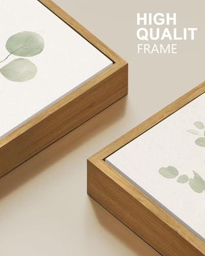 Drsoum Botanical Plant Framed Wall Art Boho Wall Decor for Bathroom Sage Green Eucalyptus Leaf Prints Minimalist Aesthetic...