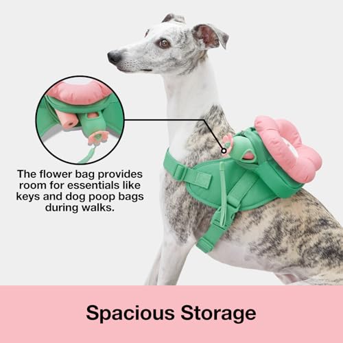 VETRESKA Flora Dog Harness, Leash and Collar Set, No Pull Dog Vest Harness for Walking and Training, Adjustable, Easy Cont...