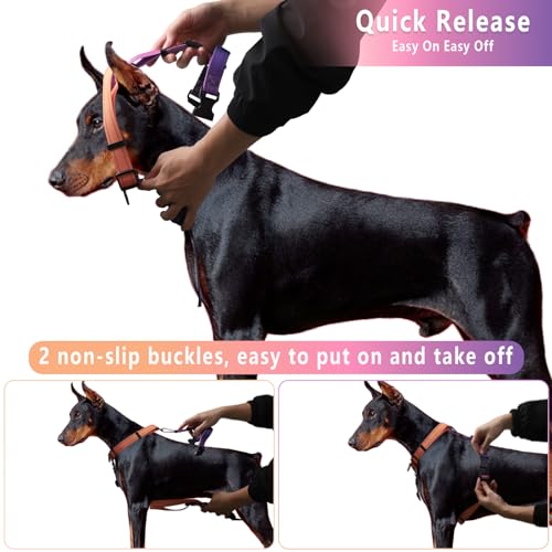 Roses&Poetry Dog Harness for Large Dogs, No-Pull Dog Harness and Leash Set Adjustable Reflective, Dog Vest Harnesses Comfo...