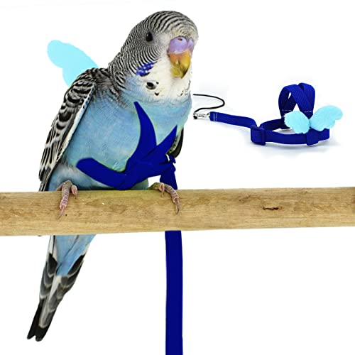 Budgerigar Harness and Leash, Adjustable Parrot Bird Training Design Anti-Bite, Bird Nylon Rope with Cute Wing for Budgeri...