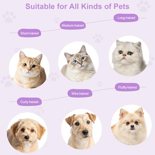 Rechargeable Cat Steam Brush with Mist Spray, 3-in-1 Pet Steam Brush for Long and Short Haired Cats and Small Dogs, Anti-S...