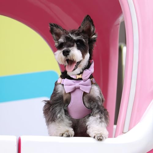 Beirui Adorable Small Dog Harness Collar and Leash Set,Cute Puppy Harness Set with 3 Bows for Small Dogs,Shih Tzu,Dachshun...