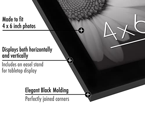 Americanflat 4x6 Picture Frame with Polished Plexiglass - Set of 12 - Signature Collection - Picture Frames with Engineere...