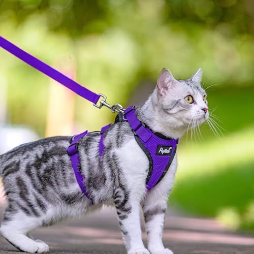 PUPTECK Cat Harness and Leash Set Escape Proof for Walking, Breathable Mash Vest Adjustable Harness for Cats Puppy Small A...