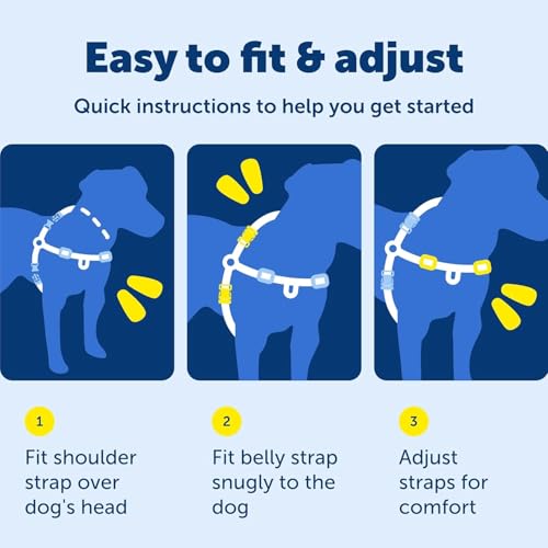 PetSafe Easy Walk Harness for Dogs - Pull-Free Walks - Patented Martingale Loop Design - Front Chest Leash Attachment - Ad...