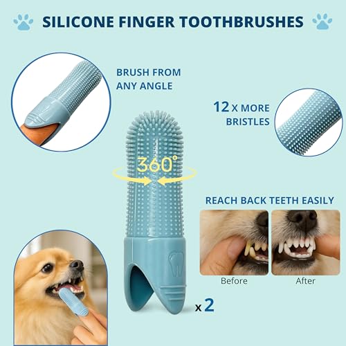 Double-Sided Pet Dog Cat Brush for Detangling Deshedding & Removing Small Mats plus Rubber Dog Bath Brush for Grooming, Sh...