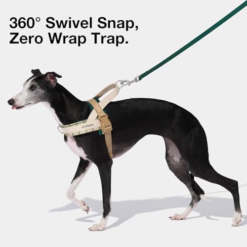 VETRESKA Dog Harness and Leash Set, Easy Walk Dog Harness for Large Medium Dogs, No Pull Puppy Harness for Walking and Tra...