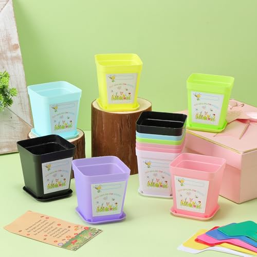 50 Sets Garden Flower Pots Crafts Kit Spring Planting Pot with Pots Trays Wildflower Seed Packets Seed Not Included Sticke...