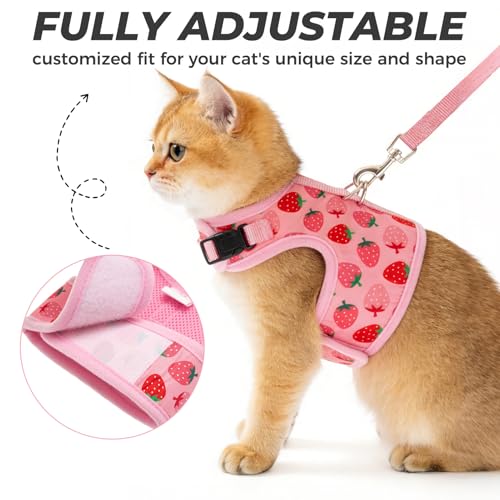 BINGPET Cat Harness and Leash Set Escape Proof, Fashionable Adjustable Mesh Harness for Walking, Soft Cute Breathable Easy...
