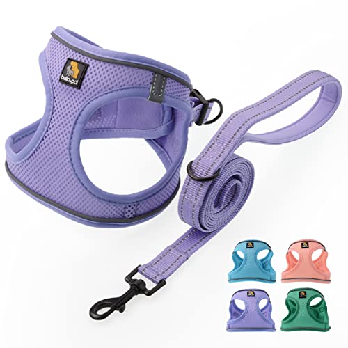 BELLA & PAL Step in Vest Harness for Small and Medium Dogs, No Pull Small Dogs Harness with Leash Set, Comfortable Air Mes...