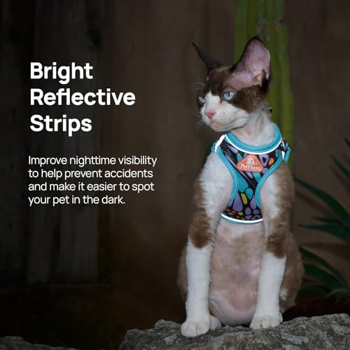 XXS Cat Harness and Leash Set for Kittens & Very Small Cats, Escape Proof Step-in Adjustable Vest, Soft Breathable Reflect...