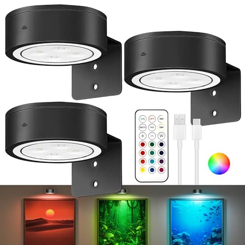 3Pack Picture Lights for Wall, RGB Color Changing Led Art Display Light with Rechargeable Battery Operated, Magnetic Paint...