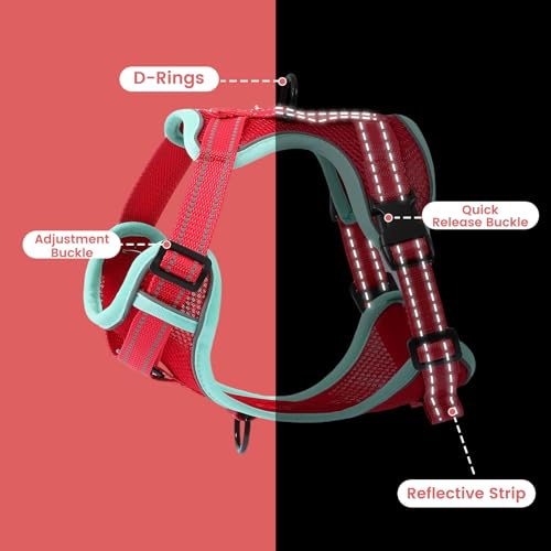 PAWDAY No-Pull Dog Harness with Dog Leash Breathable Mesh Adjustable Soft Padded Pet Vest Reflective for Small/Medium/Larg...