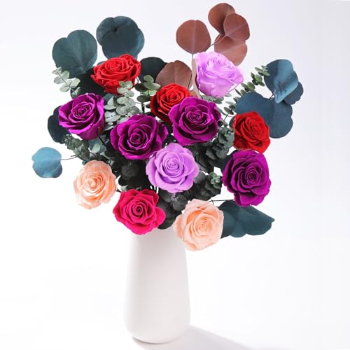 Lovenfold Flowers for Delivery Birthday Flowers Gift for Her,Preserved Flowers Bouquet 12 Roses Mixed Bouquet,Rose Gifts f...