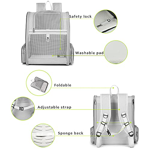 Texsens Pet Backpack Carrier for Small Cats Dogs | Ventilated Design, Safety Straps, Buckle Support, Collapsible | Designe...
