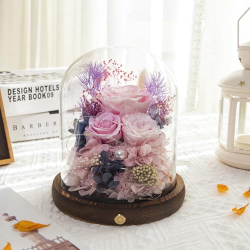 Large Preserved Flowers with Card&Box-Flowers for Delivery Prime,Eternal Rose with Lights,Roses in Glass Dome,Romantic Gif...