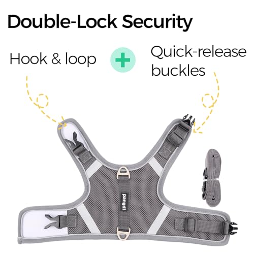 pangdi Cat Harness and Leash Escape Proof Kitten Harness Cat Leash for Walking Travel Service Cat Vest, Grey, X-Large