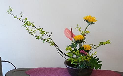 JapanBargain 2302, Flower Frog Japanese Ikebana Kenzan for Flower Arrangements Brass Floral Arranging Pin Needle Holder Ma...