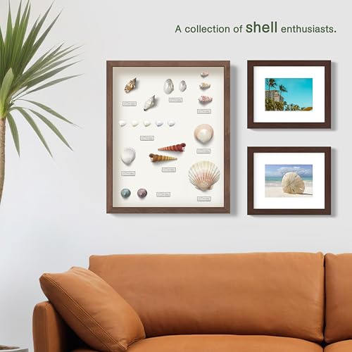 FrameWorks 11” x 11” Natural Oak Wooden Shadow Box Frame – Display Case with Soft Felt Back, Memory Box with Tempered Glas...