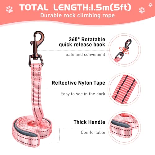 HIHANHAN Soft Mesh Dog Harness and Leash Set, No Pull Puppy Harness and Leash Set, Reflective Step in Harness for Small Me...
