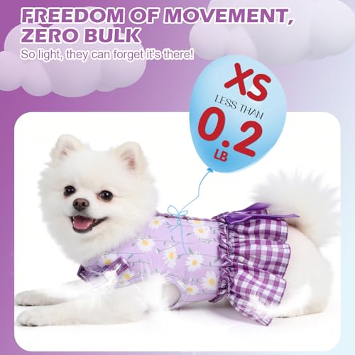 EXPAWLORER Dog Harness Small Medium Sized Dogs, Daisy Dog Dress Bowknot Harness and Leash Set, No Choke No Pull Soft Mesh ...