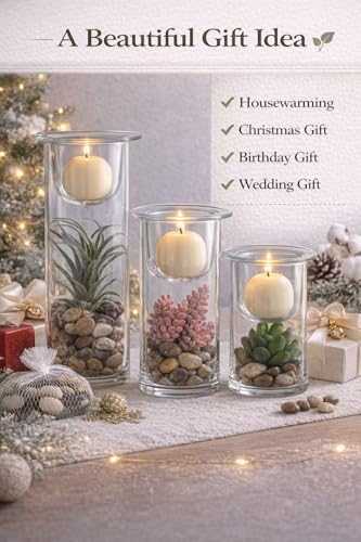 KMwares Glass Cylinder Candle Holders Set of 3 with Artificial Succulent and Decorative Stones, Hurricane Candle Holder Ce...
