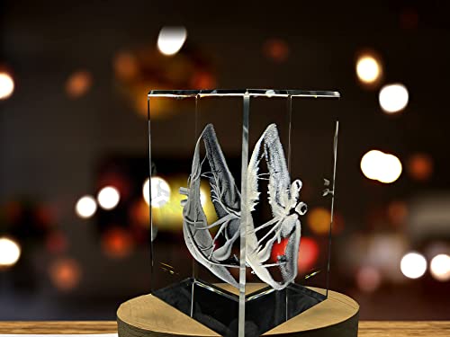 Doctors Gift 3D Engraved Crystal Keepsake/Gift/Decor/ (Small (3 x 2 x 2 in), Liver Art)