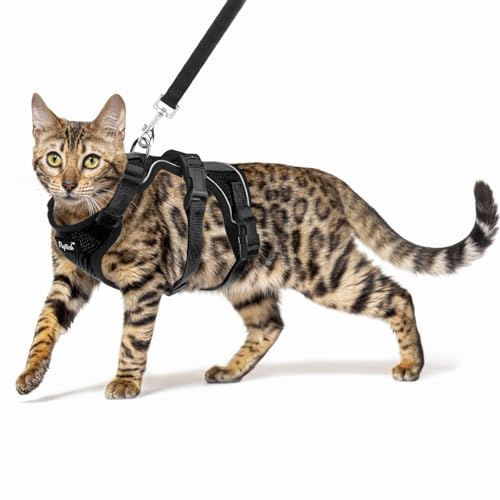 PUPTECK Cat Harness and Leash Set Escape Proof for Walking, Breathable Mash Vest Adjustable Harness for Cats Puppy Small A...
