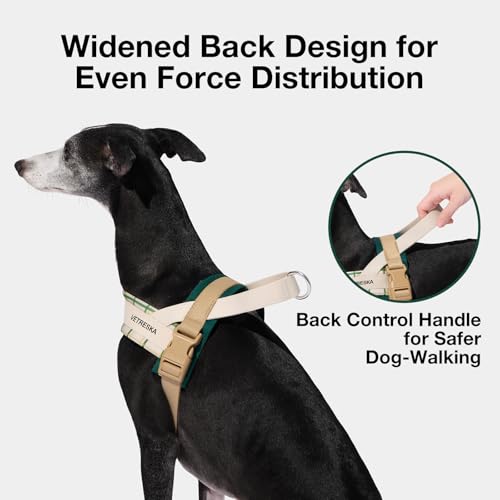VETRESKA Dog Harness and Leash Set, Easy Walk Dog Harness for Large Medium Dogs, No Pull Puppy Harness for Walking and Tra...