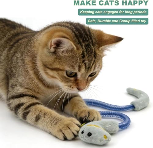 uyiixoxo Interactive Cat Toys Set, Silvervine Chew Sticks and Cat Spring Toy, Indoor Catnip Toys for Exercise and Dental C...