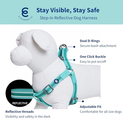 Blueberry Pet Essentials Reflective Back to Basics Matching Dog Harness and Leash Set, Minty Green, Adjustable Harness wit...
