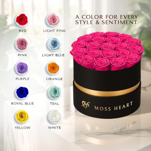 Moss Heart 20 Mini Preserved Roses, Round Luxury Gift Box, Real Forever Roses Last 1+ Year, Premium Romantic Gift for Wome...