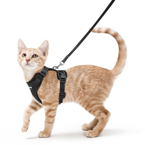 rabbitgoo Cat Harness and Leash for Walking, Escape Proof Soft Adjustable Vest Harnesses for Cats, Easy Control Breathable...