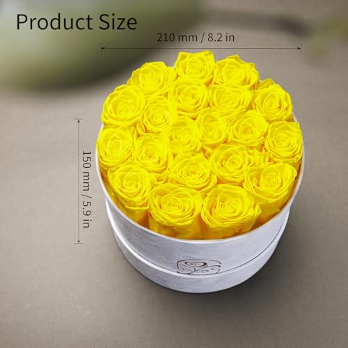 Gifts for Women Preserved Roses Flower Box, Luxury Velvet Box with 20 Roses, Preserved Flowers, Romantic Gift for Her, Wif...