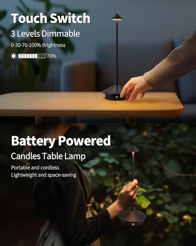 NEWSEE Modern Cordless Table Lamp Set of 2, Portable LED Desk Lamps, 5000mAh Rechargeable Battery Operated Lighting for Be...