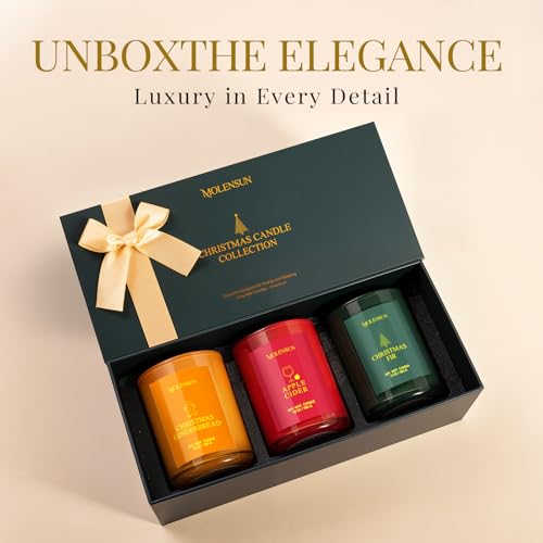 Valentine's Day Candles Gift Set, 3 Pack 30oz Scented Candles for Home, Soy Candle Scents of Apple Cider/Gingerbread/Fir, ...