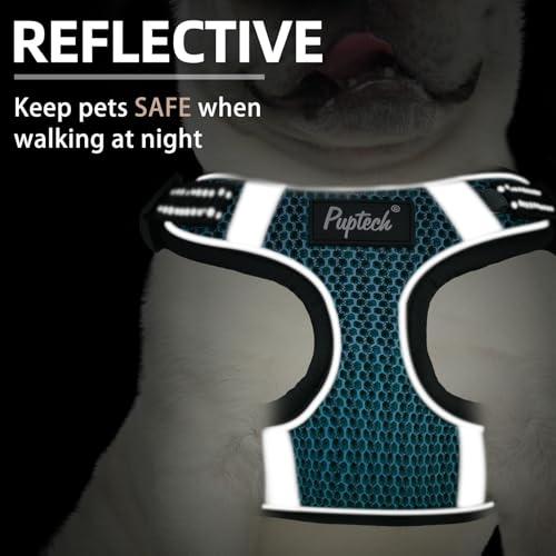 PUPTECK Dog Harness and Leash Set Small Sized, Step in No Pull Adjustable Puppy Cat Harness Reflective Pet Vest