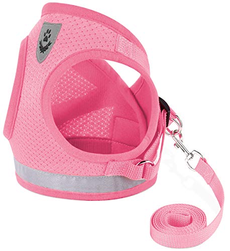Cat Harnesses and Puppy Harness with Leashes Set, Escape Proof Cat Harness, Adjustable Reflective Soft Mesh Vest Fit Puppy...