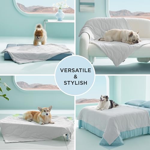 Bedsure Premium Cooling Blanket for Medium Dog - Q-MAX>0.5, Breathable Summer Washable Cold Pet Throw Blanket, Soft Durabl...