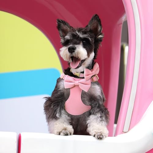 Beirui Adorable Small Dog Harness Collar Leash Set,Cute Puppy Harness with 3 Bows for XS Dogs,Yorkie,Adjustable Step-in Ve...