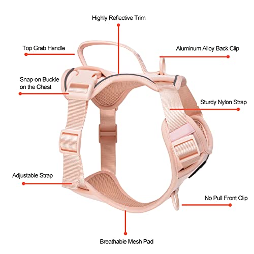 Petmolico Dog Harness for Small Dogs, Cute Harness Vest with Two Leash Clips and Soft Handle, Reflective Easy Walk Puppy V...