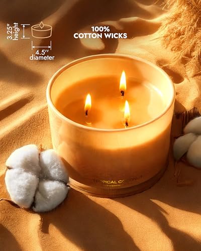 96NORTH Luxury Coconut Soy Candle | Large 3 Wick Jar Candle | Up to 50 Hours Burning Time | Tropical Beach Scented Candles...