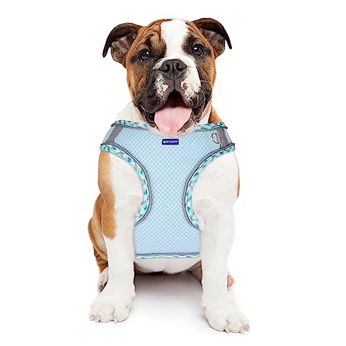 BTDCFY Step in Mesh Dog Harness and Leash Set - Breathable Air Mesh Reflective Escape Proof Dog Harness Vest - No Choke, L...