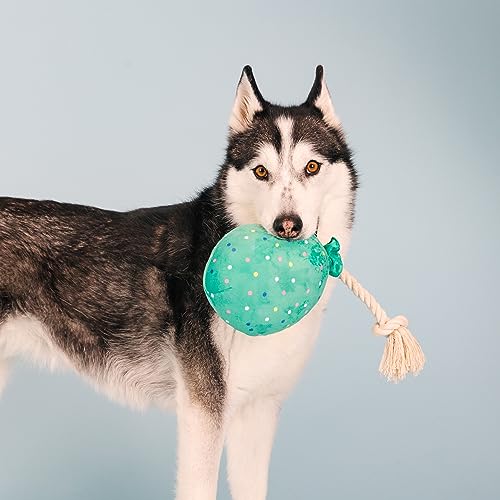 Fringe Studio Plush Dog Toy, I Pawty, You Pawty, Pet Shop Collection (314210)