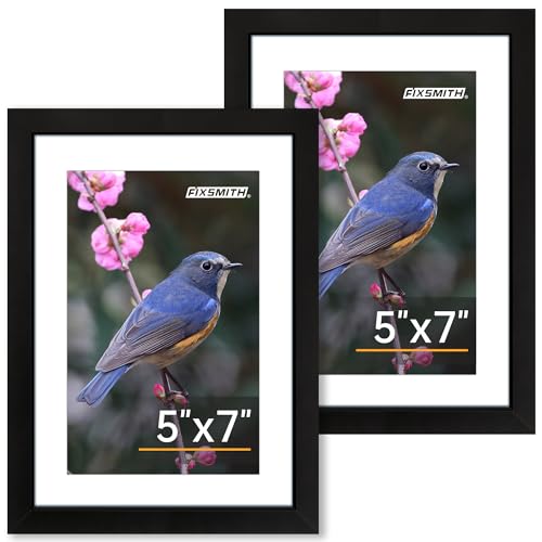 FIXSMITH 5x7 Picture Frame Set of 2, Photo Frame with HD Plexiglass, Display Pictures 4x6 with Mat or 5x7 Without Mat Mult...