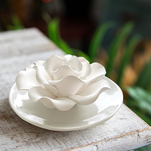 Passive Diffuser for Essential Oil-Ceramic Diffuser Non Electric Oil Diffusers for Small Mini Room, Desk Decorative, Bathr...