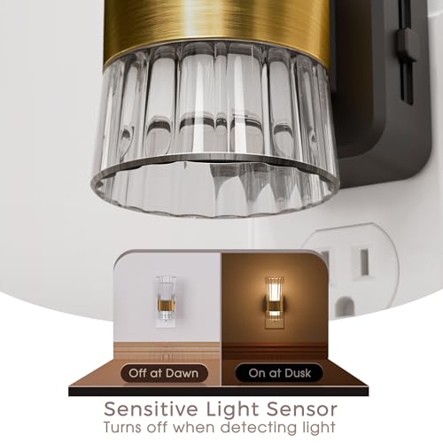 Briignite Night Light, Night Lights Plug into Wall, Soft White LED Nightlight for Kids, Adjustable Brightness 0-100LM, Dus...